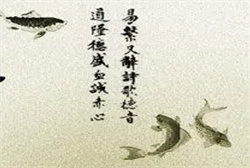 梦到看见别人在抓狗
